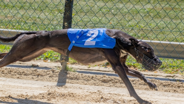 Training am 17.08.2025